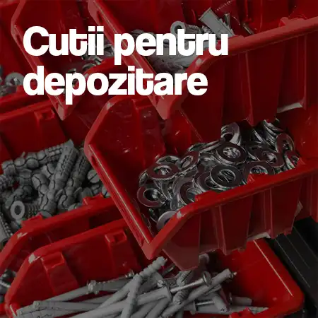 Cutii pentru depozitare